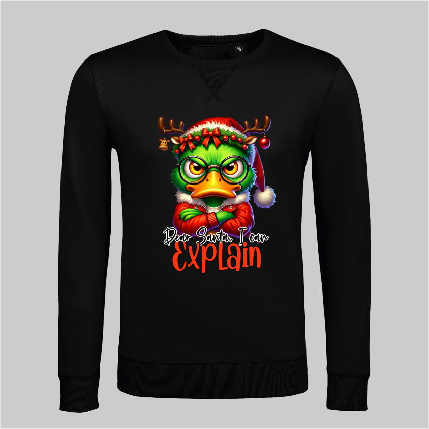 Dear Santa I can explain