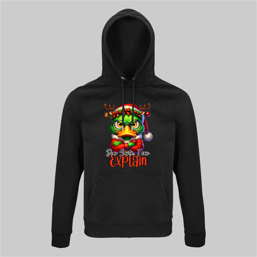 Dear Santa I can explain