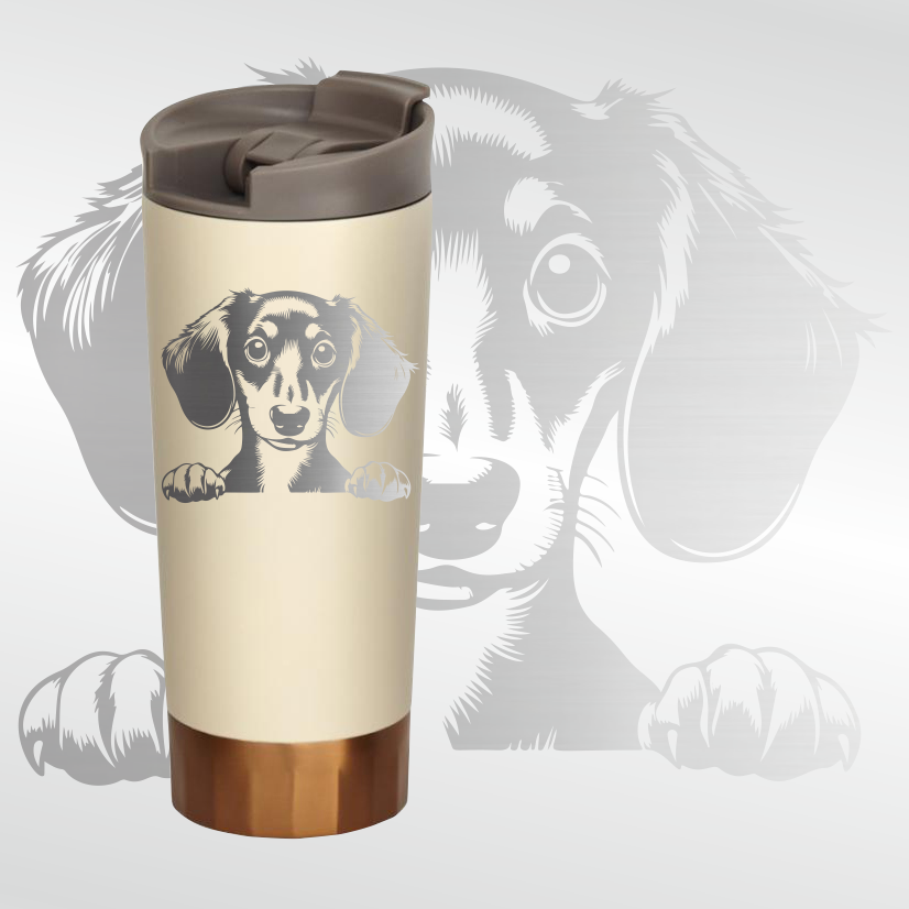 Mans labākais draugs ...