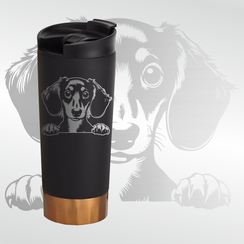 Mans labākais draugs ...